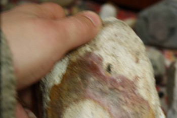 2017-02-22 16-36-24.JPG