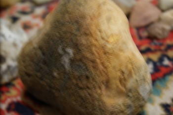 2017-02-22 16-37-28.JPG