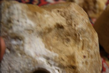 2017-02-22 16-37-52.JPG