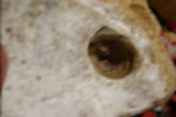 2017-02-22 16-38-08.JPG