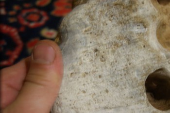 2017-02-22 16-38-12.JPG