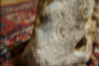 2017-02-22 16-38-30.JPG