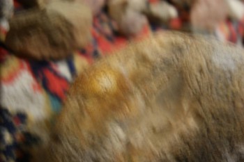 2017-02-22 16-38-58.JPG