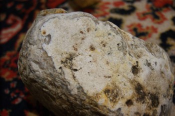 2017-02-22 16-39-08.JPG