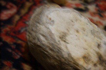 2017-02-22 16-39-12.JPG