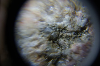 2017-02-23 06-39-18.JPG