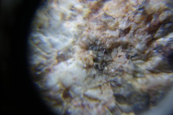 2017-02-23 06-39-00.JPG