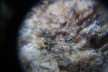 2017-02-23 06-38-52.JPG