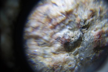 2017-02-23 06-38-46.JPG