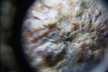 2017-02-23 06-38-40.JPG