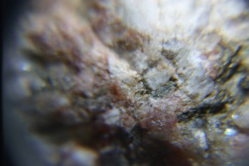 2017-02-23 06-36-44.JPG