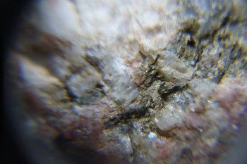 2017-02-23 06-36-40.JPG