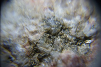 2017-02-23 06-36-34.JPG