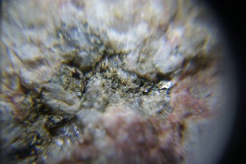 2017-02-23 06-36-30.JPG