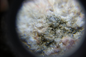 2017-02-23 06-35-12.JPG