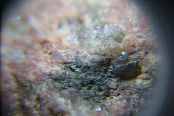 2017-02-23 06-33-44.JPG