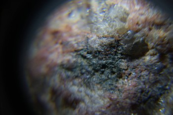 2017-02-23 06-33-18.JPG