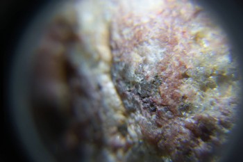 2017-02-23 06-33-08.JPG