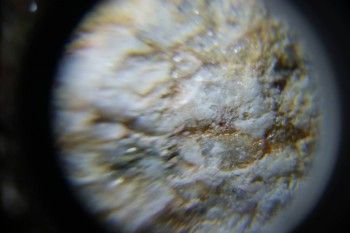 2017-02-23 06-32-38.JPG