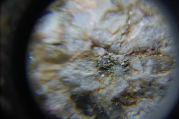 2017-02-23 06-32-28.JPG