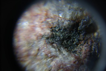 2017-02-23 06-32-06.JPG