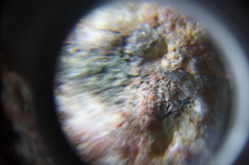 2017-02-23 06-31-52.JPG