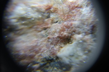 2017-02-23 06-31-38.JPG