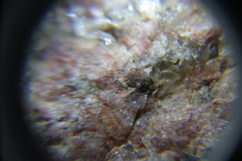 2017-02-23 06-31-20.JPG