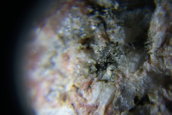 2017-02-23 06-25-52.JPG