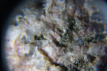 2017-02-23 06-25-26.JPG