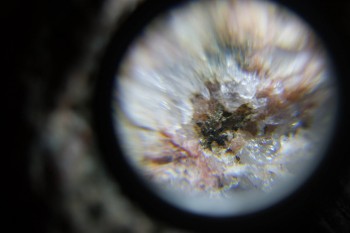 2017-02-23 06-23-56.JPG