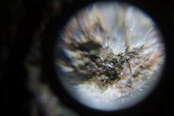 2017-02-23 06-23-50.JPG