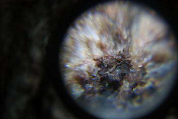 2017-02-23 06-23-44.JPG