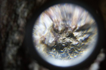 2017-02-23 06-23-28.JPG