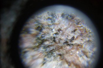 2017-02-23 06-22-18.JPG