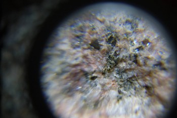 2017-02-23 06-22-12.JPG