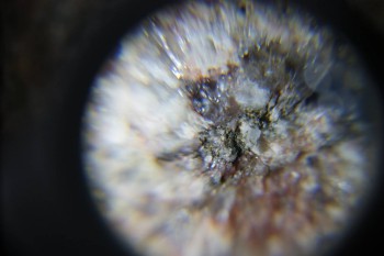 2017-02-23 06-21-46.JPG