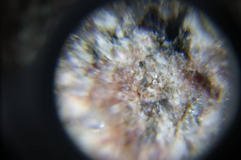 2017-02-23 06-21-40.JPG