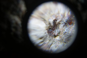 2017-02-23 06-21-22.JPG