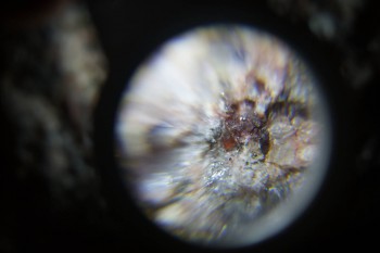 2017-02-23 06-21-18.JPG