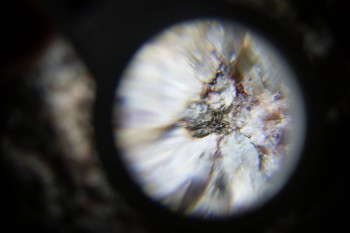 2017-02-23 06-21-08.JPG