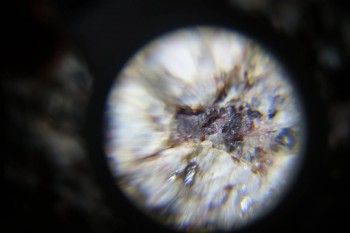 2017-02-23 06-20-58.JPG