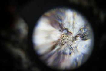 2017-02-23 06-20-52.JPG