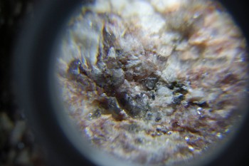 2017-02-23 06-20-36.JPG