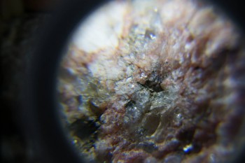 2017-02-23 06-20-06.JPG