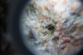 2017-02-23 06-19-44.JPG