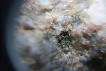 2017-02-23 06-19-34.JPG