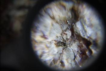 2017-02-23 06-18-30.JPG