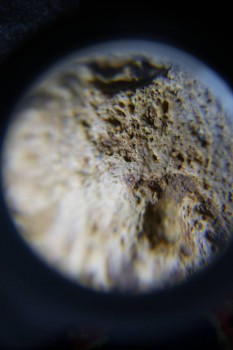 2017-02-23 10-04-04.JPG