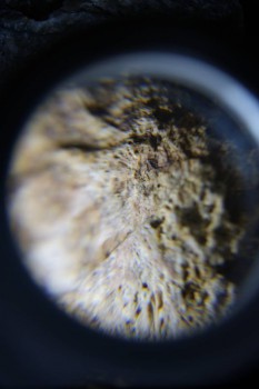 2017-02-23 10-03-52.JPG